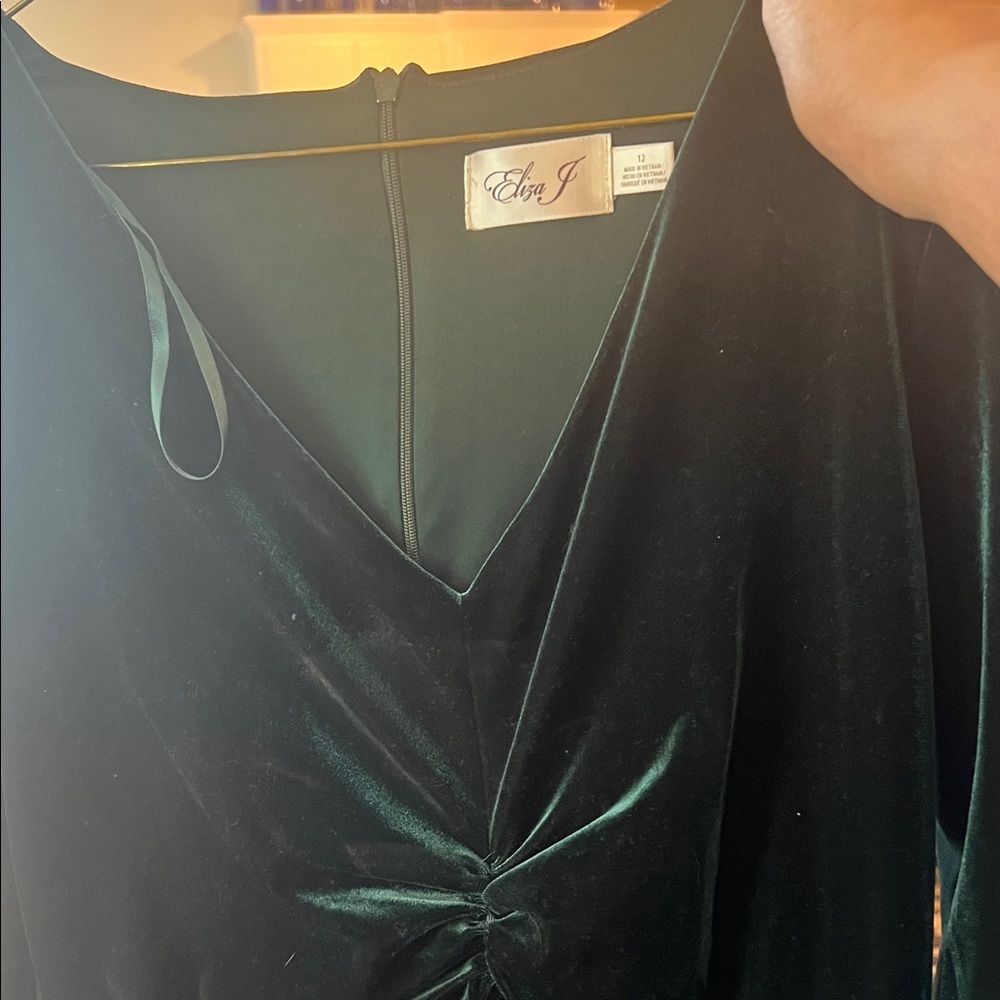 Eliza J Deep Green Velvet Dress